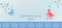 DL poziom
