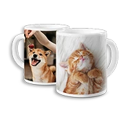 [PBX2] Fotokubek standard